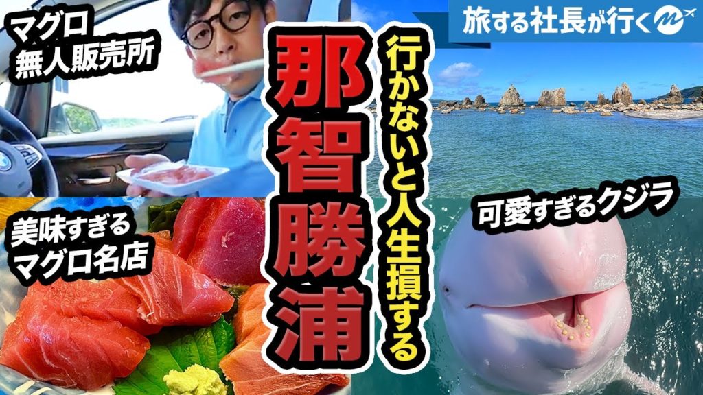 和歌山・那智勝浦ドライブ旅行。絶対に行きたくなる！マグロとクジラが最高にヤバかった【グルメ・観光・無人販売所・くじらの博物館】