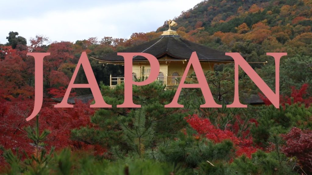 JAPAN // Trip to Tokyo and Kyoto JAPAN // Trip to Tokyo and Kyoto