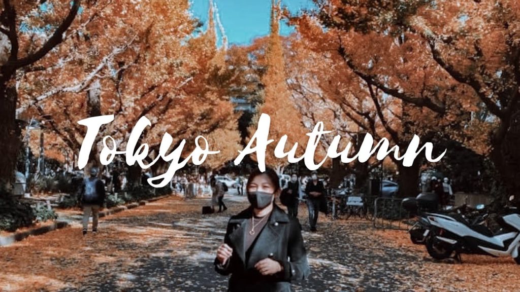Autumn in Tokyo + Winter Illumination