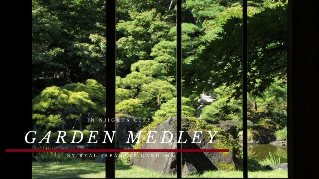 Real Japanese Gardens in Niigata 2021 in HD