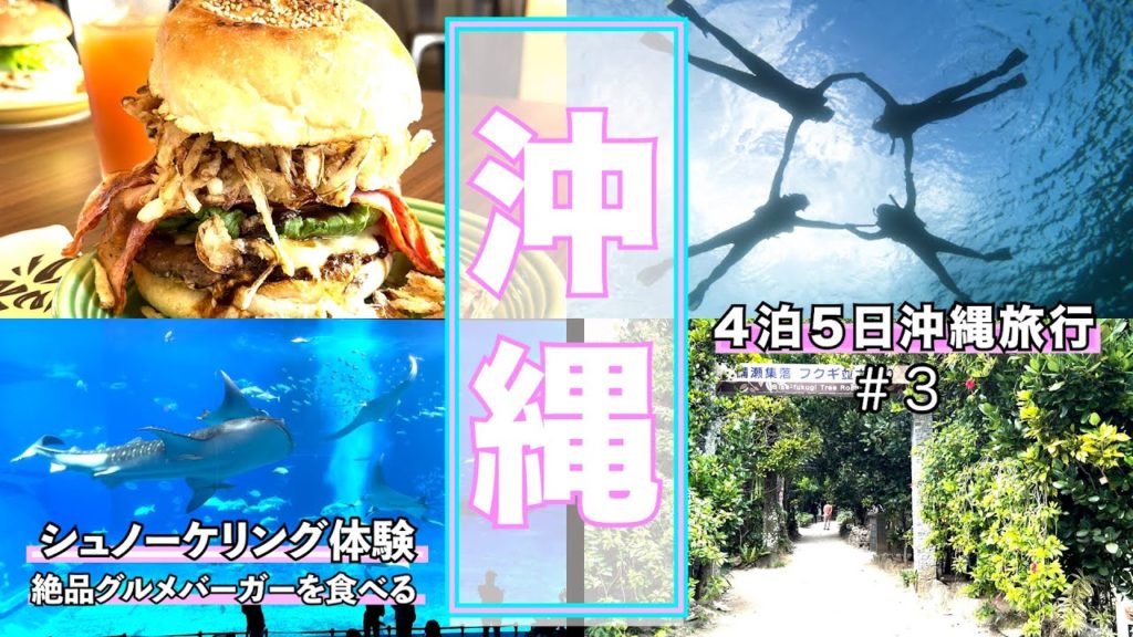 【沖縄旅行】母親の還暦祝いで４泊５日沖縄旅行＃３。シュノーケリング〜キャプテンカンガルー〜美ら海水族館〜フクギ並木