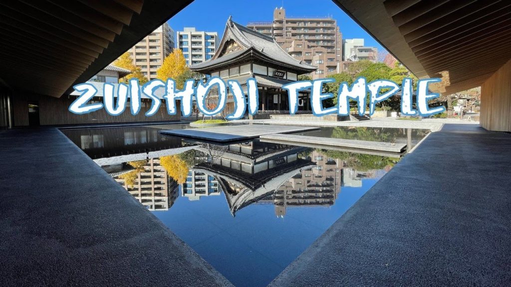 [Vlog] Zuishoji Temple with Autumn Leaves | Tokyo Sightseeing, Japan