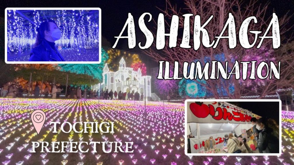 JAPAN VLOG| ASHIKAGA ILLUMINATION 2021 (FLOWER FANTASY)