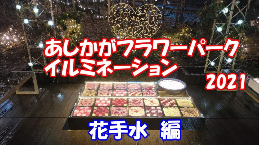 【日本三大イルミネーション】あしかがフラワーパーク2021 20th Anniversary「光の花の庭」 花手水編 【日本三大イルミネーション】あしかがフラワーパーク2021 20th Anniversary「光の花の庭」 花手水編