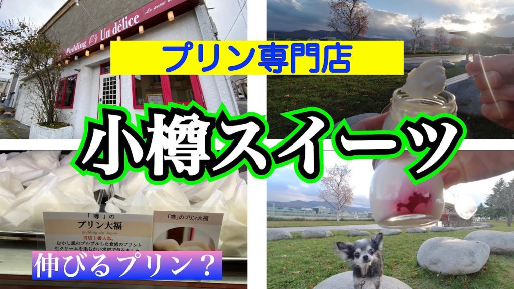 【小樽スイーツ 2021①】小樽の人気新感覚スイーツ 『プリン専門店アンデリス』 生クリームとプリンの相性が抜群の伸びるプリンを埠頭で食べる 【小樽スイーツ 2021①】小樽の人気新感覚スイーツ 『プリン専門店アンデリス』 生クリームとプリンの相性が抜群の伸びるプリンを埠頭で食べる