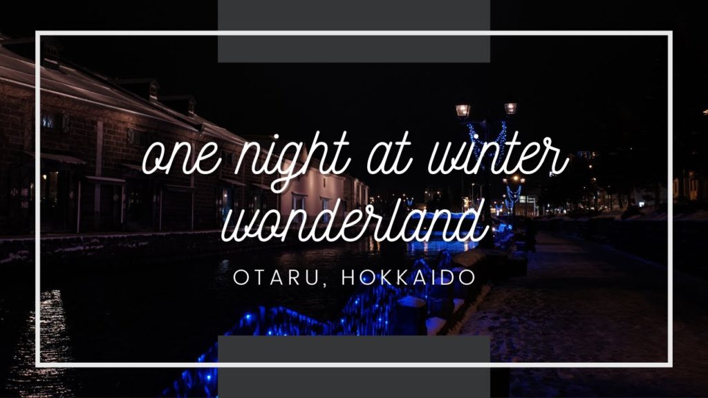 one snowy night at a very beautiful small city in Hokkaido (4K)