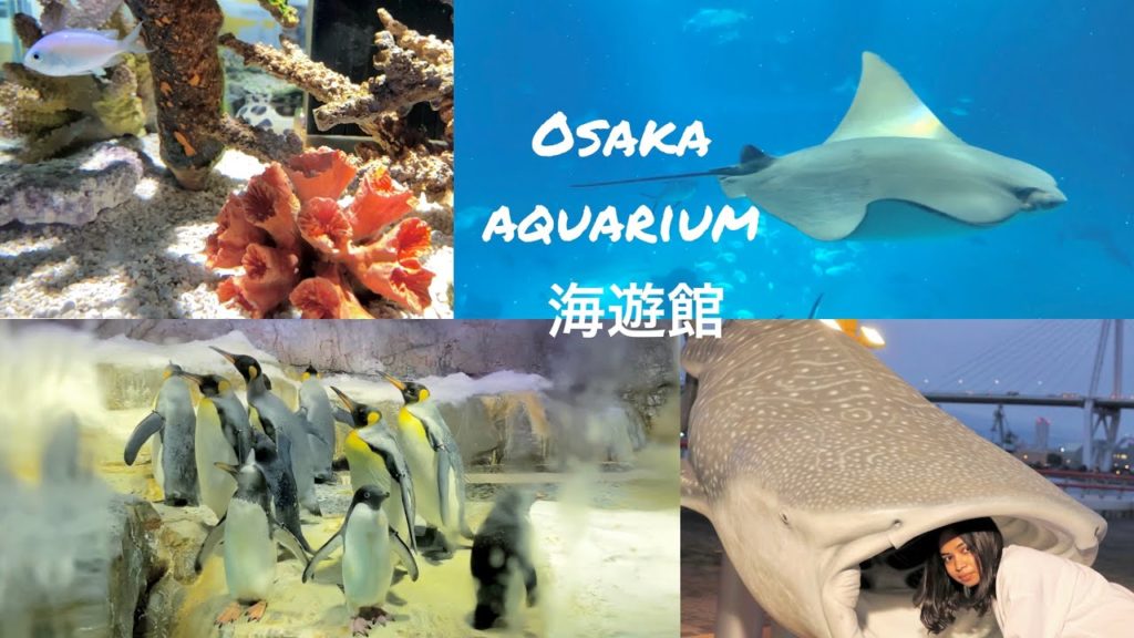 大阪海遊館 | osaka aquarium | japan | TRAVEL With Fashion | 大阪 | life in japan