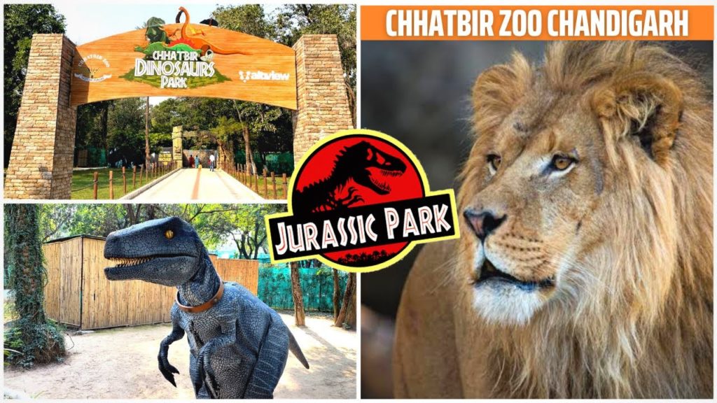 Chhatbir Zoo in Chandigarh | Famous Place in Chandigarh (छतबीर चिड़ियाघर) Chhatbir Zoo in Chandigarh | Famous Place in Chandigarh (छतबीर चिड़ियाघर)