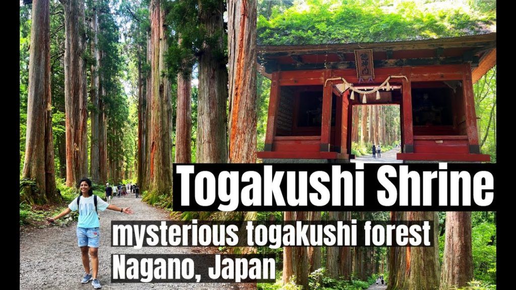 Togakushi Shrine (戸隠神社), hiking mysterious togakushi forest - Nagano, Japan #4K