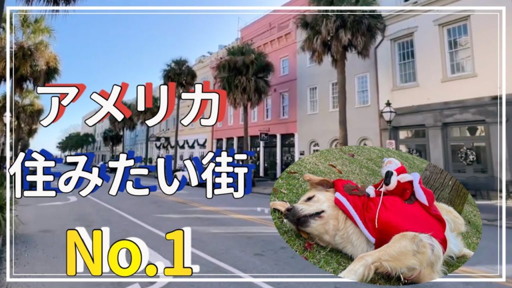【コロナ禍の旅行】住みたい街ランキング1位はここ！2日目はサウスカロライナ州！犬猫とロードトリップ