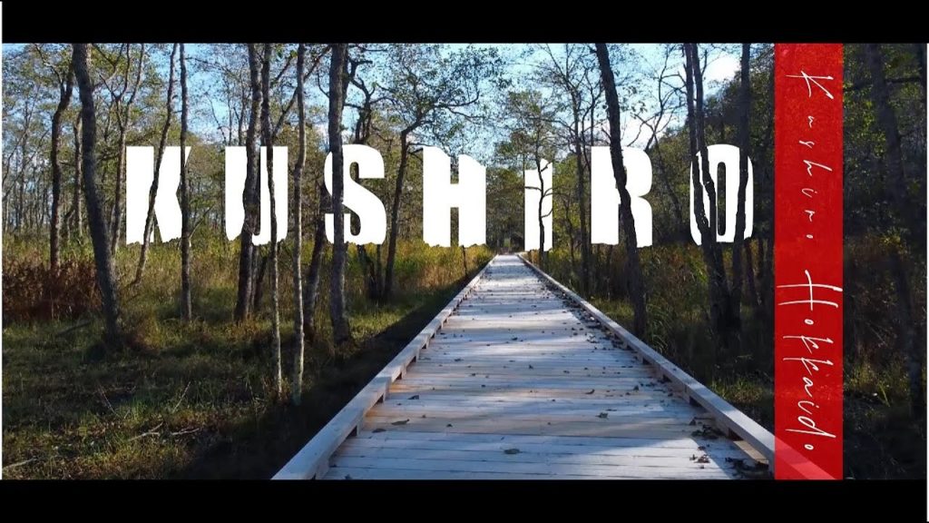 Hokkaido Trip Day 5, Eastern part of Hokkaido, Lake Mashu , Kushiro , Kushiro Marshland. 北海道5日目