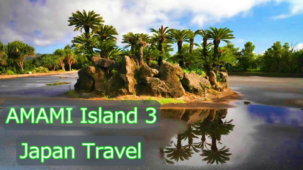 Amami Island travel report part３ [Kagoshima, Japan]