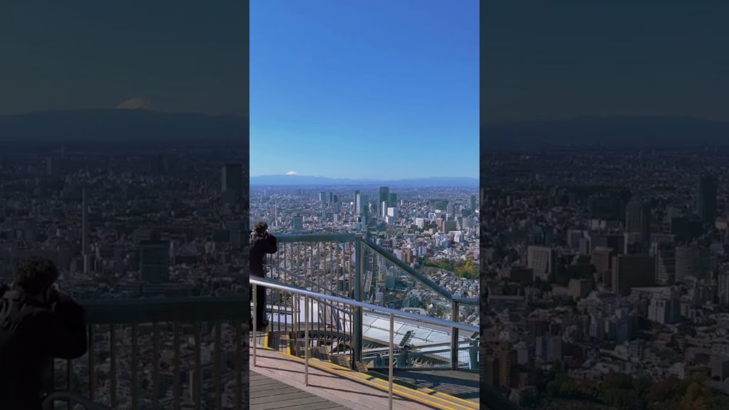 Travel To Japan 🇯🇵 日本旅行 #Shorts Travel To Japan 🇯🇵 日本旅行 #Shorts
