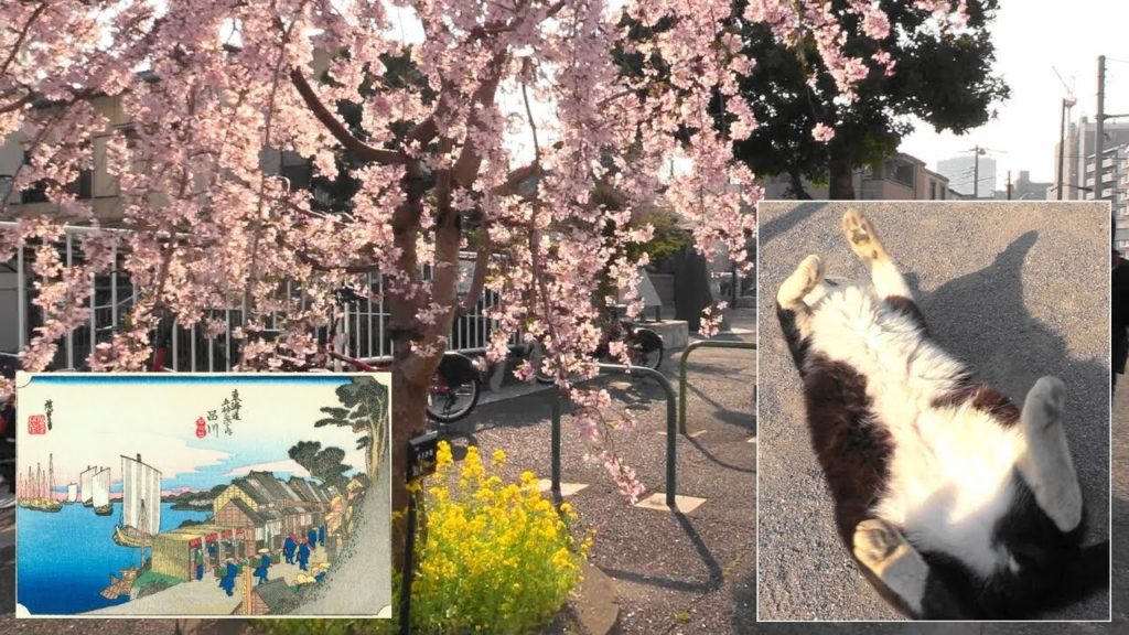 Tokyo Spring Walk 🌸 Former Tōkaidō Road Shinagawa-shuku