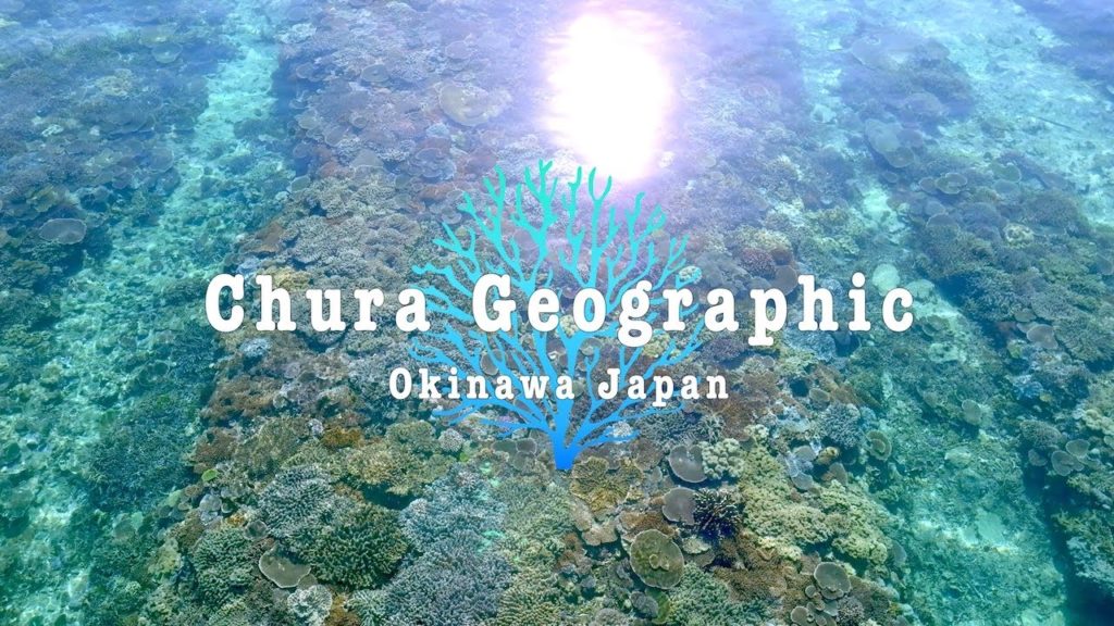 [4K] Drone Footage of Coral Reef #69 DJI Mavic3 沖縄 本島 サンゴ