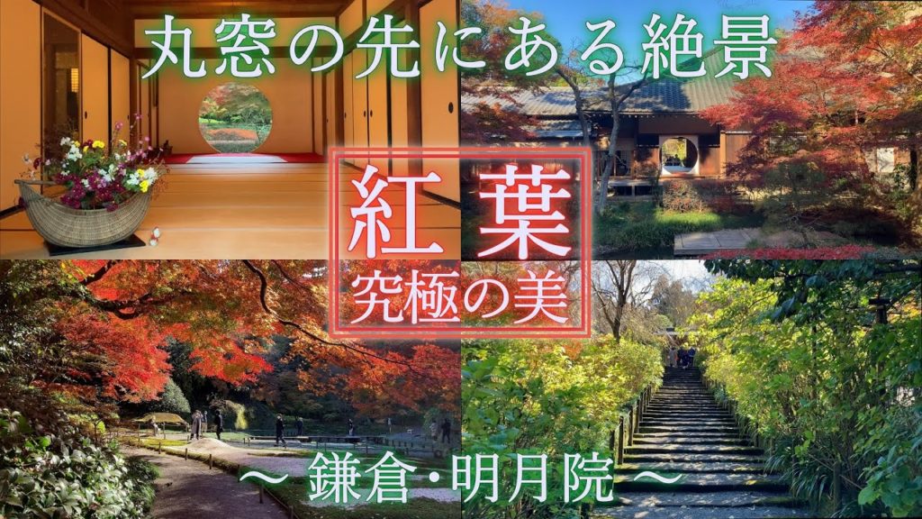 究極の紅葉！明月院・鎌倉の紅葉：特別拝観！悟りの窓の先にある絶景。紅葉と紫陽花の禅寺。茶室・月笑庵。Amazing Autumn Leaves! Kamakura Meigetsu-in （改訂版）