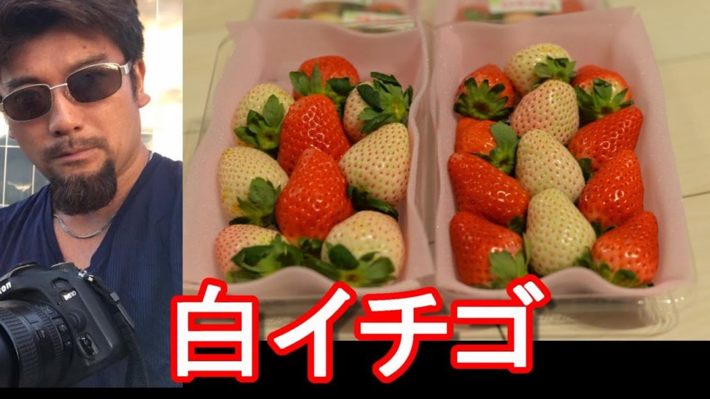 視聴者からいただいた栃木県産の苺!スカイベリー&ミルキーベリー(白イチゴ)、知人からいただいたミカン 視聴者からいただいた栃木県産の苺!スカイベリー&ミルキーベリー(白イチゴ)、知人からいただいたミカン