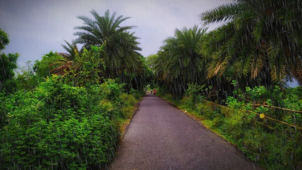 Walking through Wonderful Scenic Road, The Sounds of Nature Walking through Wonderful Scenic Road, The Sounds of Nature