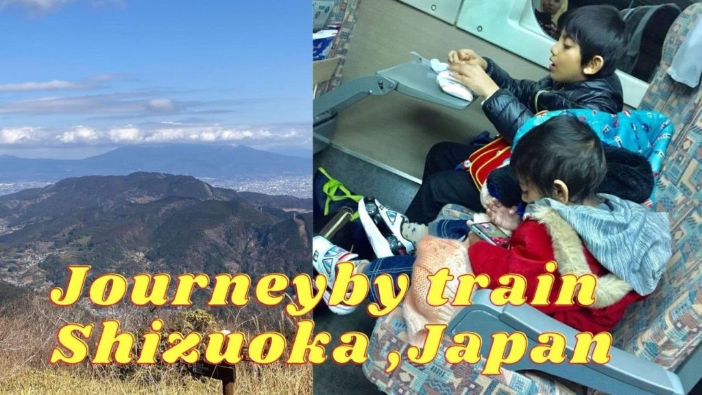 Journey by train Shizuoka , Japan || Afnans Brother USA