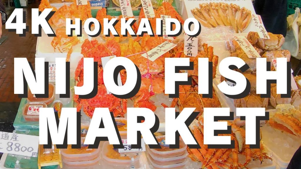 【4K Walking】HOKKAIDO Nijo Fish Market