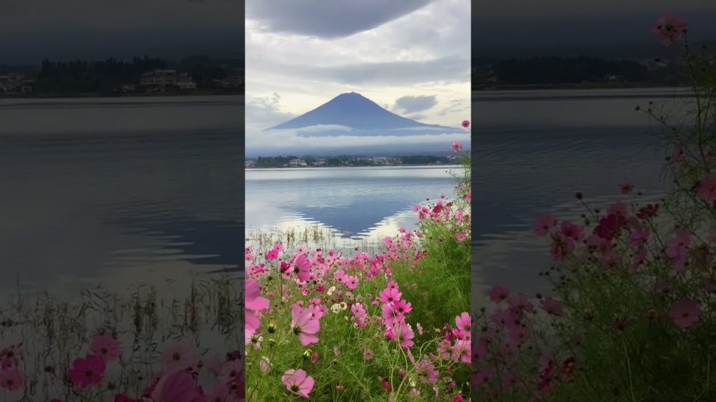 Nature Japan Mountain Fuji #fuji #mountainfuji #富士山 #naturejapan