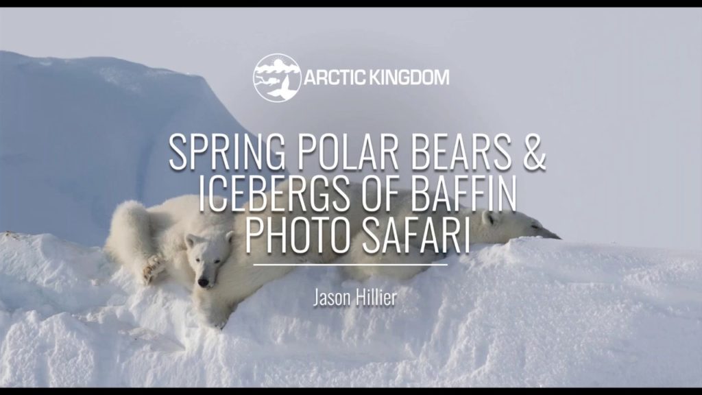 Spring Polar Bears Icebergs of Baffin | Webinar