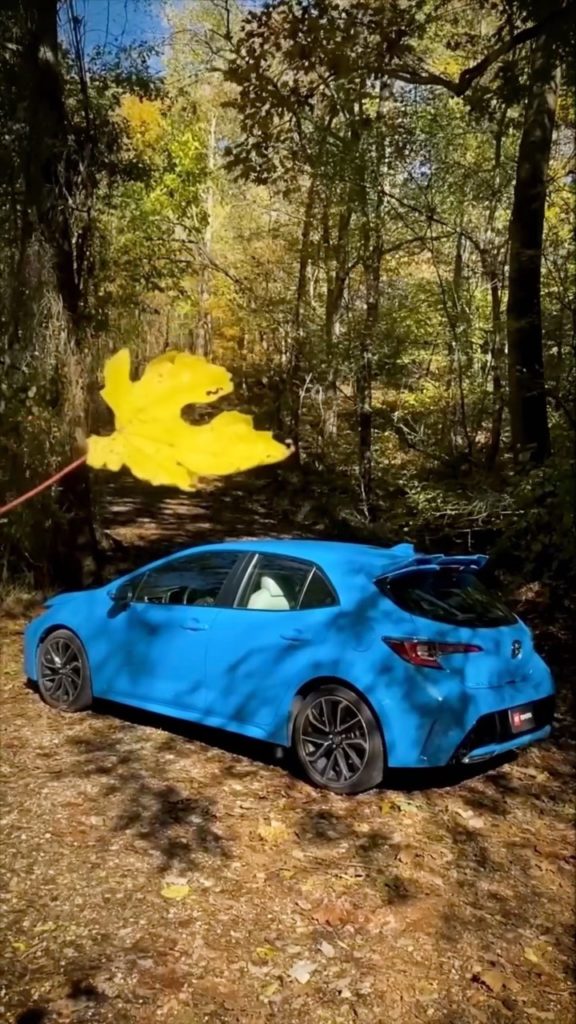 Holding on to the last feeling of fall.  #Corolla Hatchback #LetsGoPlaces...