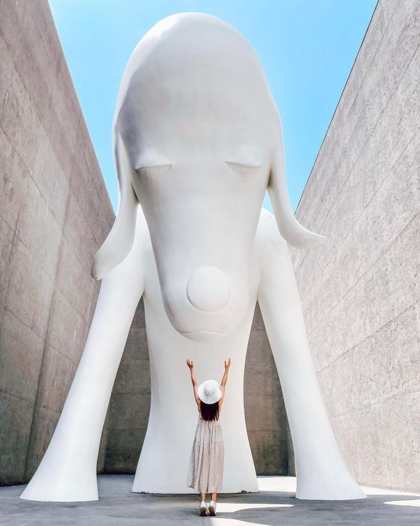 Did someone say puppy love?  Aomori-Ken (Aomori Dog) in the Aomori Museum of Art...