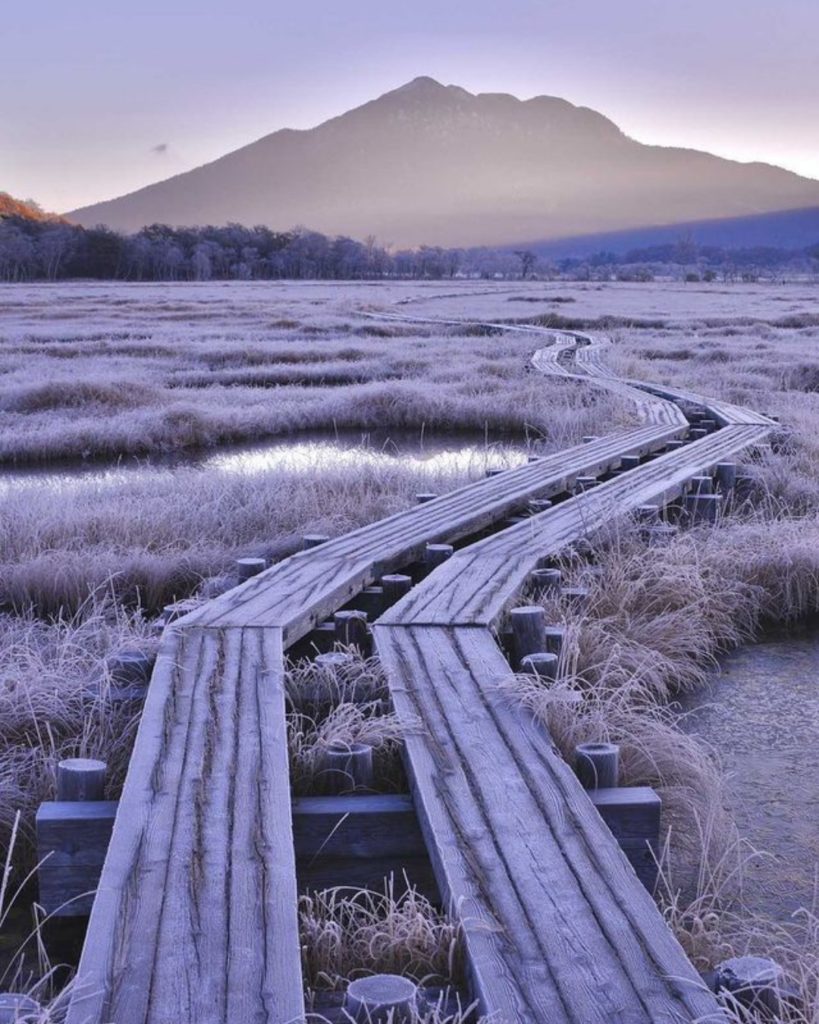 Sometimes you gotta take the path less travelled - it's not hard when you have t...