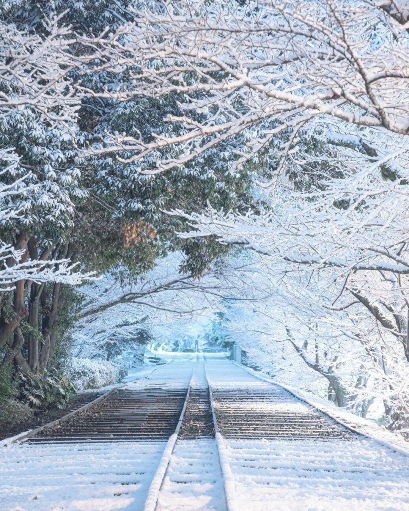 Japan Airline: .
桜の名所の希少な雪景色
全長約582mの傾斜鉄道跡 #蹴上インクライン
#DramaticDecember A rare snowy setting o… .
桜の名所の希少な雪景色
全長約582mの傾斜鉄道跡 #蹴上インクライン
#DramaticDecember A rare snowy setting o...