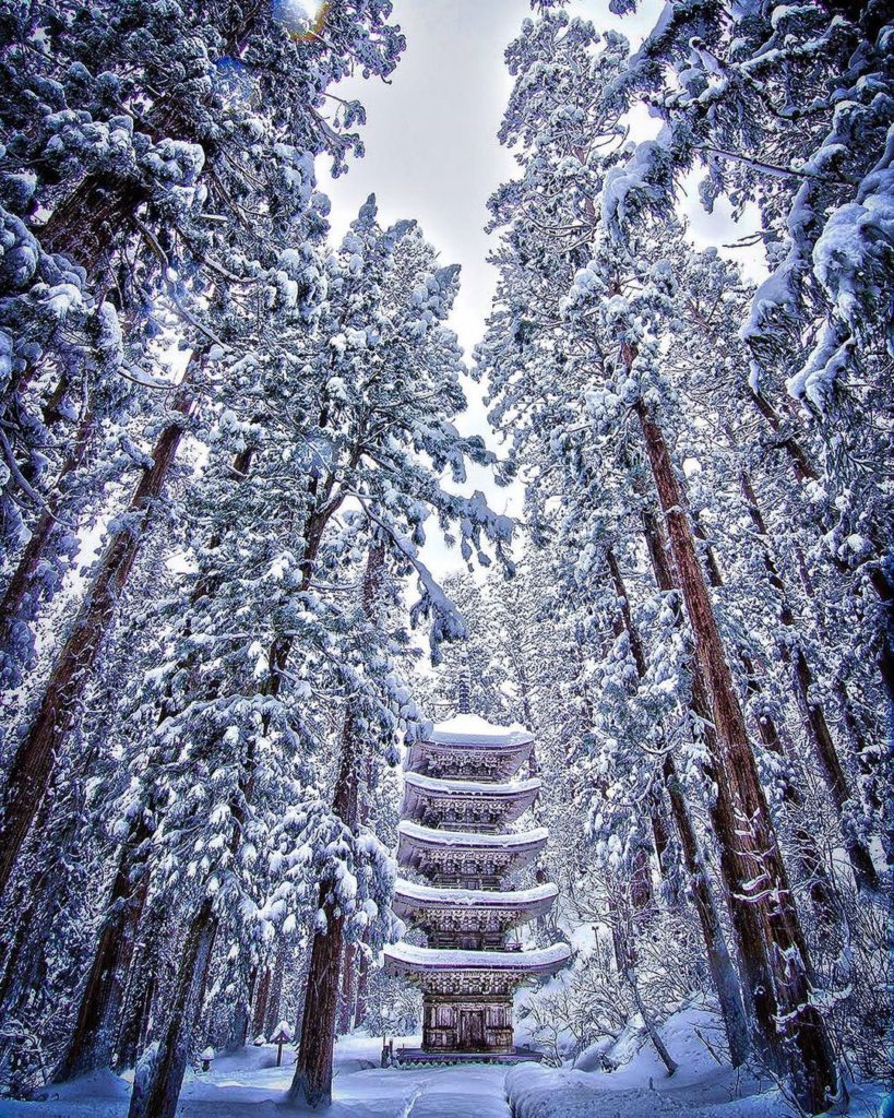 Visit Japan: Camouflaged amongst snow-covered cedar trees, the spectacular Five-Storied Pagod… Camouflaged amongst snow-covered cedar trees, the spectacular Five-Storied Pagod...
