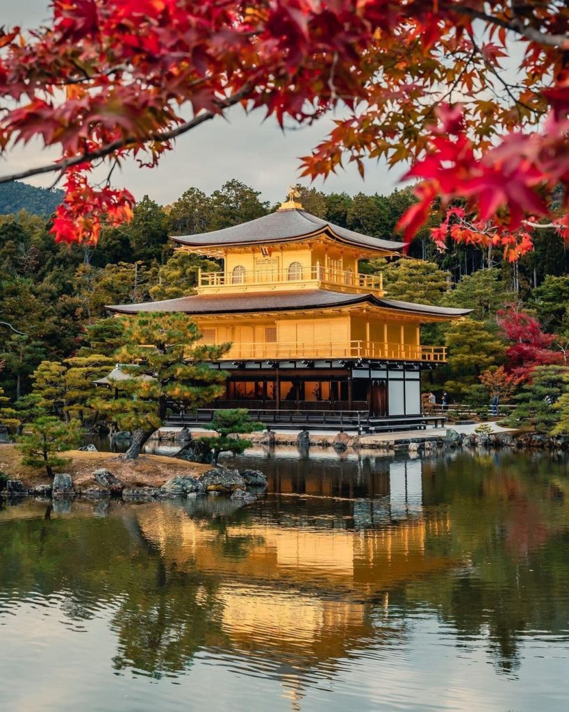 Japan Travel: Too late for us to squeeze in another autumn shot? We figured this one was too b… Too late for us to squeeze in another autumn shot? We figured this one was too b...