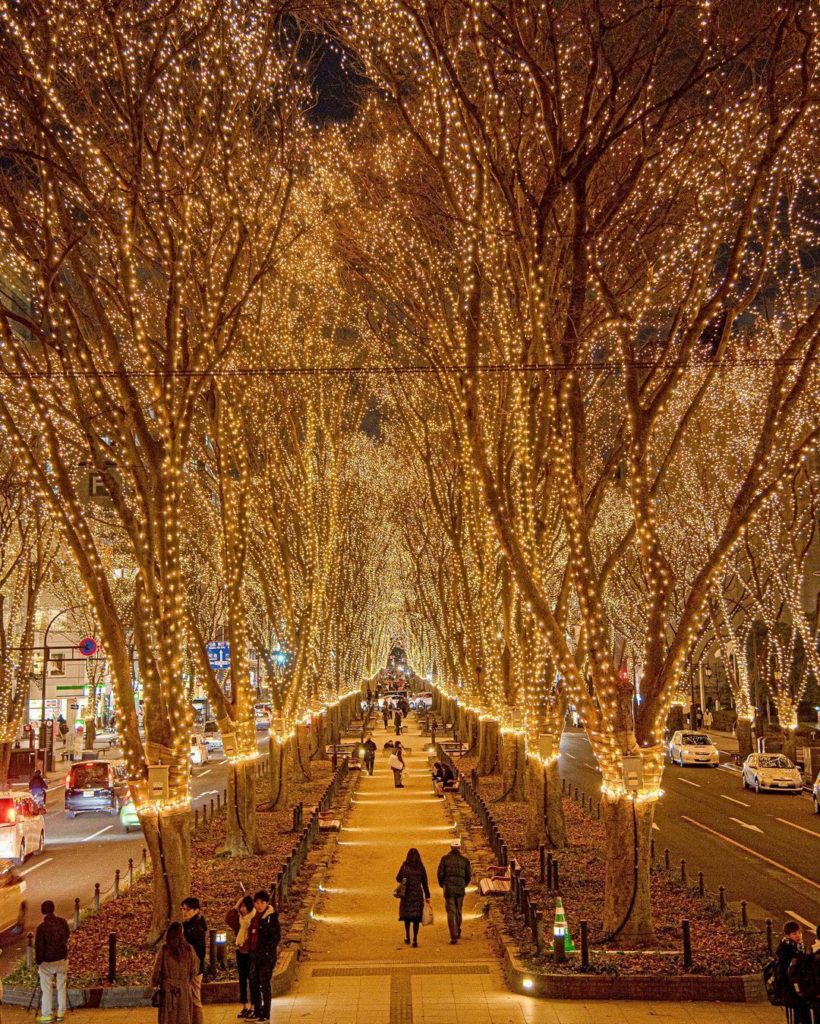 One can never have too many fairy lights!  

A stroll through Jozenji-dori Avenu...