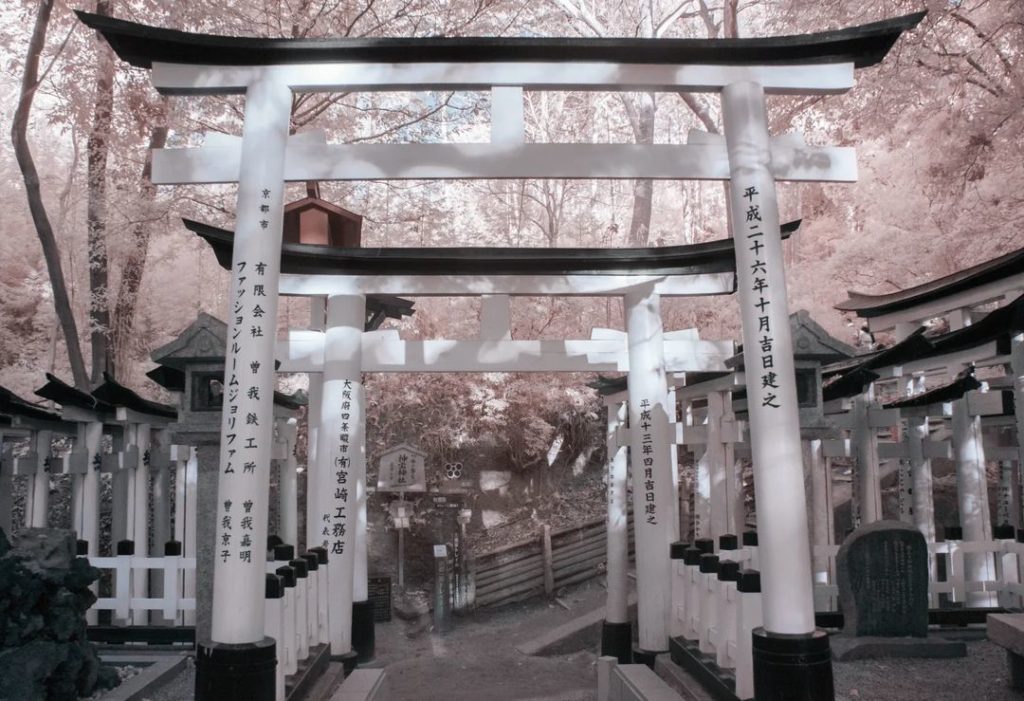 Merry Christmas 
Love you all ...