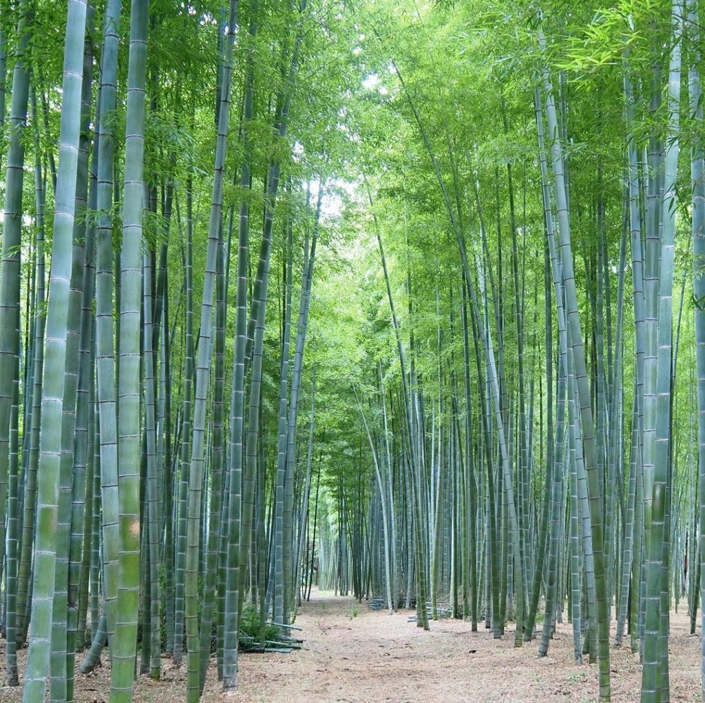 We're completely bamboozled as to why more travellers don't know about the stunn...