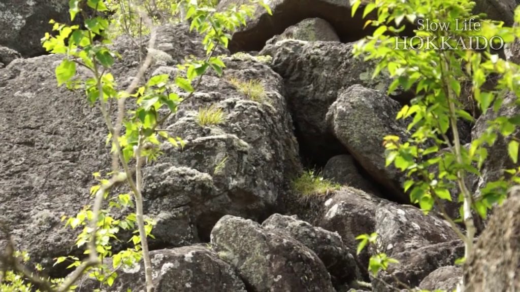 Slow Life Hokkaido – Senjokuzure Slow Life Hokkaido - Senjokuzure