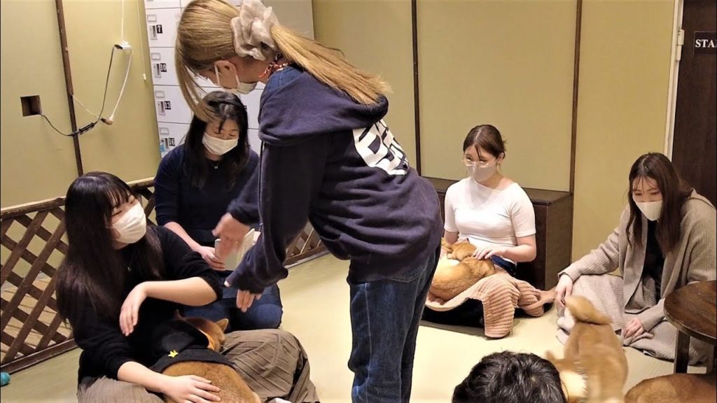 I Go to an only in japan Party