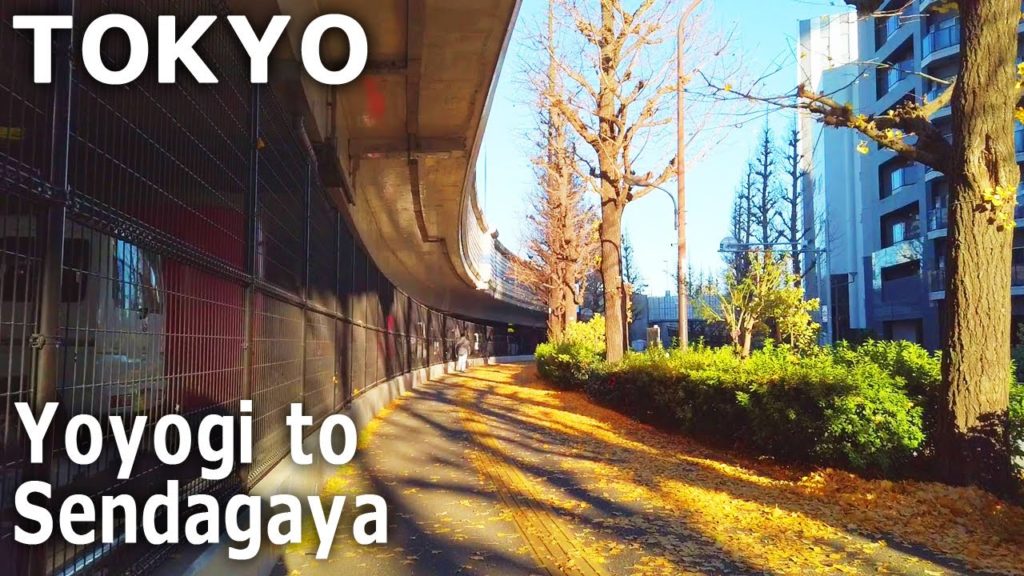 [Tokyo Walk] Yoyogi to Sendagaya. Ginkgo trees with their leaves falling (Dec.2021)
