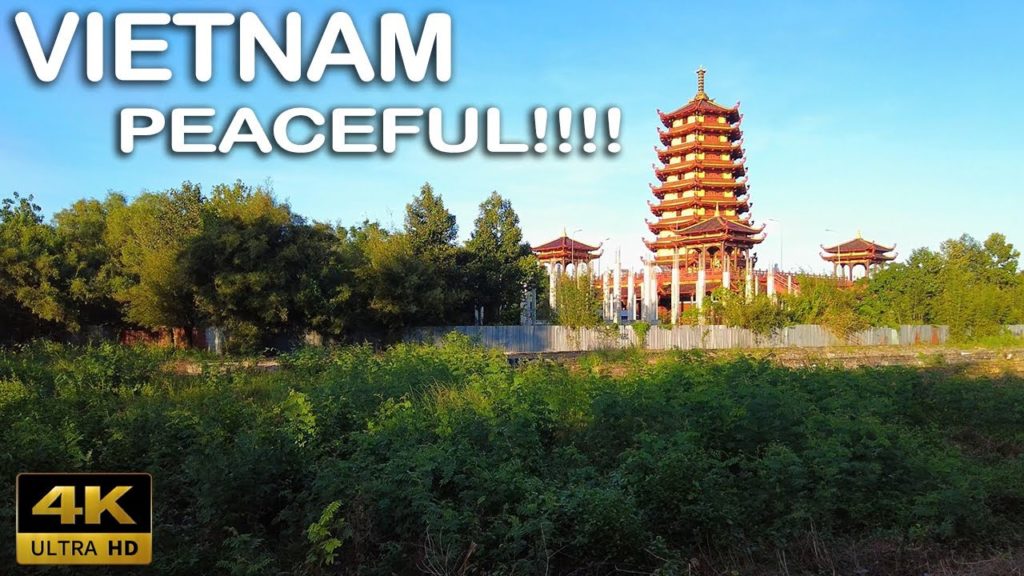 4K Vietnam Walk | Relaxing peaceful afternoon walk | Vietnamese Countryside Walking Tour 4K Vietnam Walk | Relaxing peaceful afternoon walk | Vietnamese Countryside Walking Tour