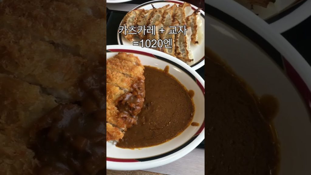 카레+돈까스+군만두(교자) 나는 한번에 간다. (일본 홋카이도 삿포로 미요시노) #shorts