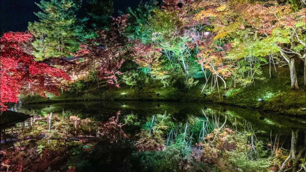 [4K] 🇯🇵🍁✨BEAUTIFUL NIGHT ILLUMINATION AT KODAJI TEMPLE KYOTO, JAPAN | VLOG