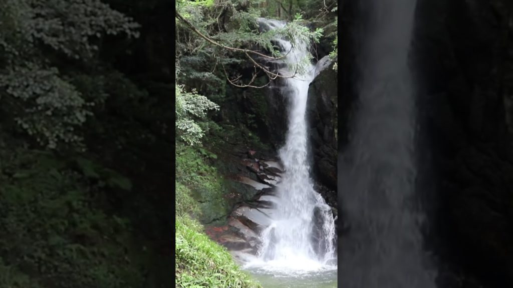 beautiful waterfall #shorts #youtubeshorts