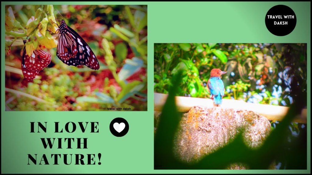 In love with nature! # 4 In love with nature! # 4