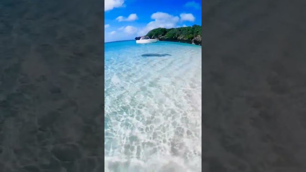 Yoron Island, Japan - Clear Waters 🌊🌊
