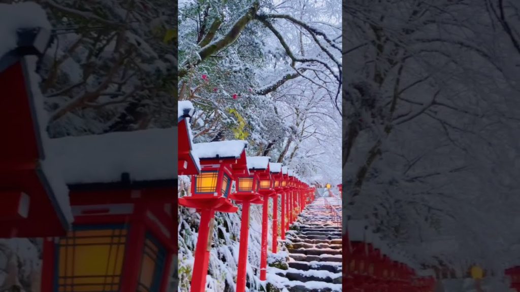 Snowing Japan #kyoto #japan #shorts #京都