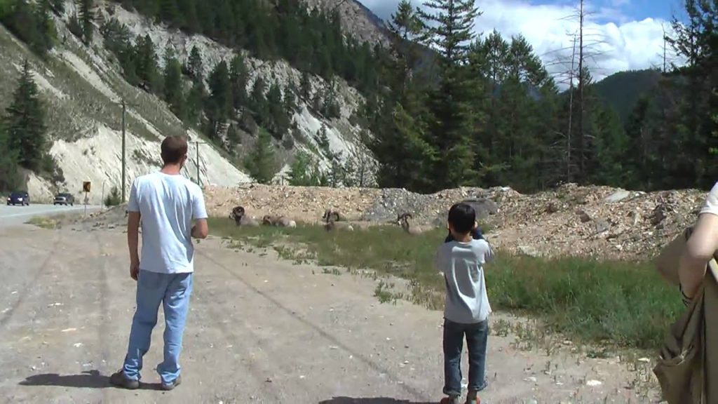 Scenes from TrekAmerica tour in Canada #5