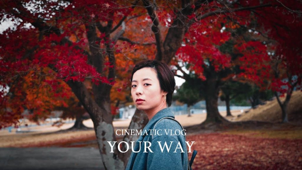 【CINEMATIC VLOG】YOUR WAY 【CINEMATIC VLOG】YOUR WAY