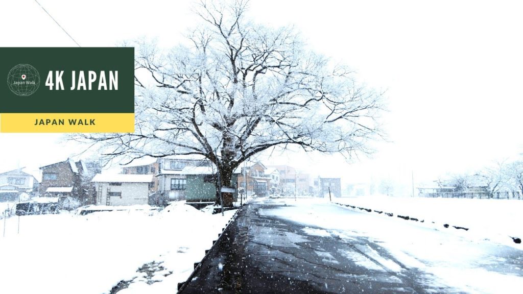 Snow 4K Japan Walk – NIIGATA Hasegawa House Neighborhood Walking Tour | 新潟長岡 2021 Snow 4K Japan Walk - NIIGATA Hasegawa House Neighborhood Walking Tour | 新潟長岡 2021