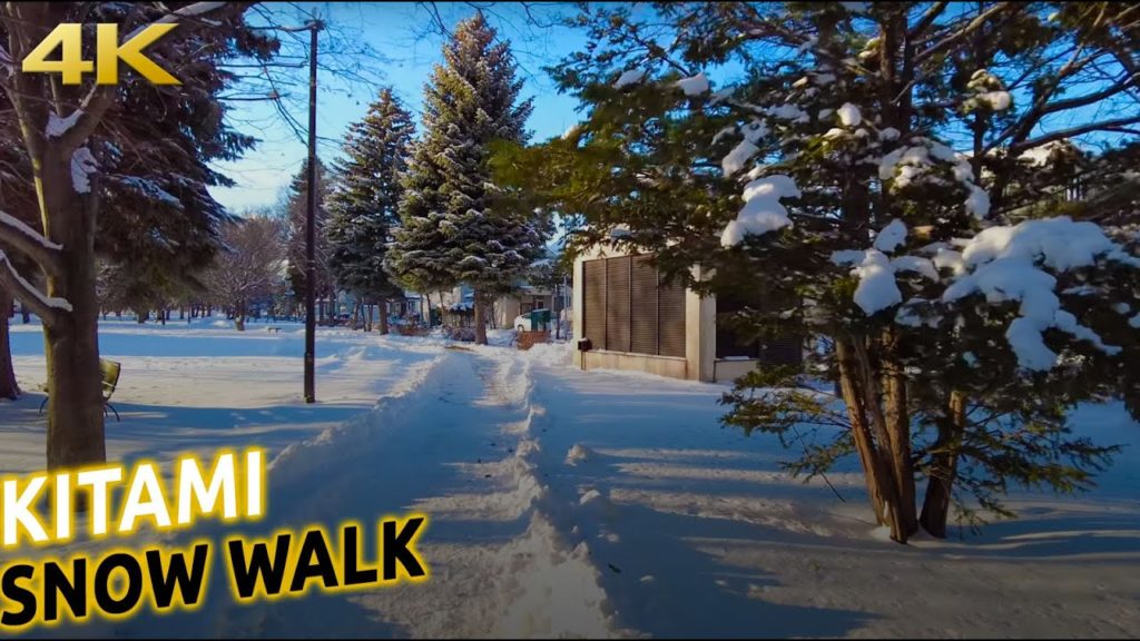 Kitami (Hokkaido) Snow Walk [4K]