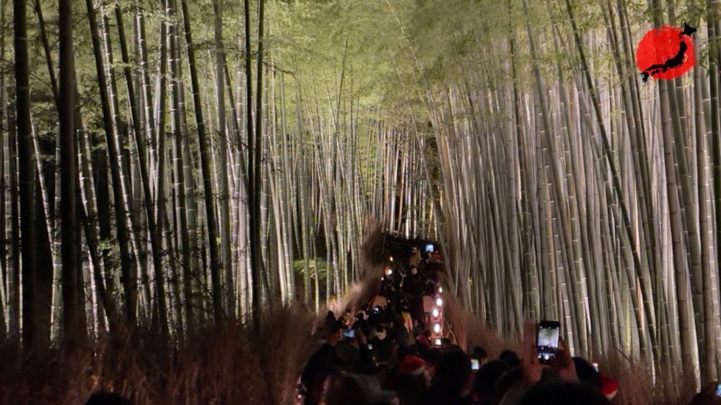 Arashiyama Bamboo Grove Illumination 2021, Kyoto, Japan